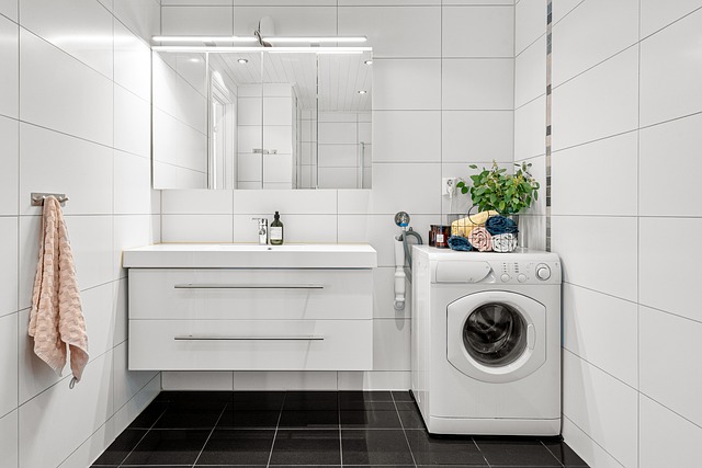 Dishwashers vs Washing Machines: Which Appliance Tops Your List?